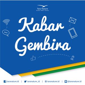 Statement Bonus di kirim lewat email Anda