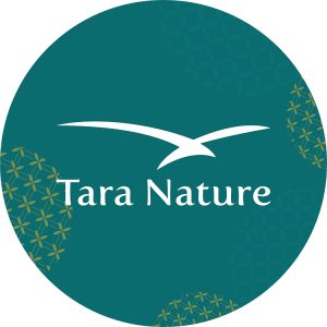 Follow Instagram Tara Nature @taranature.official